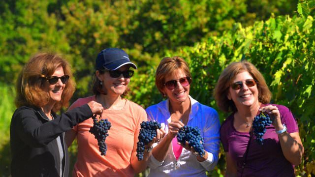 If the time is right, we love to get in the vineyards and harvest grapes with our winemaker friends in Tuscany!